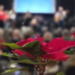 Julesang: fotograf Malene Friis Reinhardt