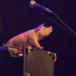 Black Oak County + Beskidt: Fotograf Malene Friis Reinhardt